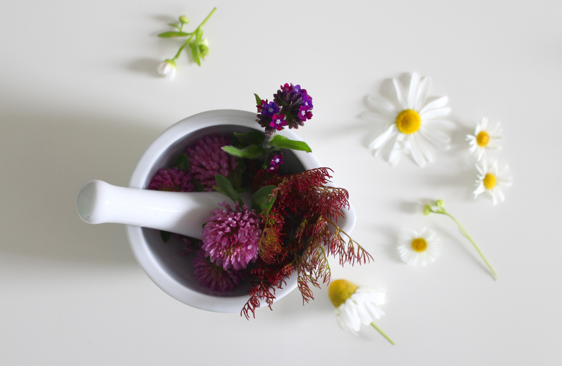 Taller de tintes naturales con plantas, flores y verduras de Asturias con Maite Capín