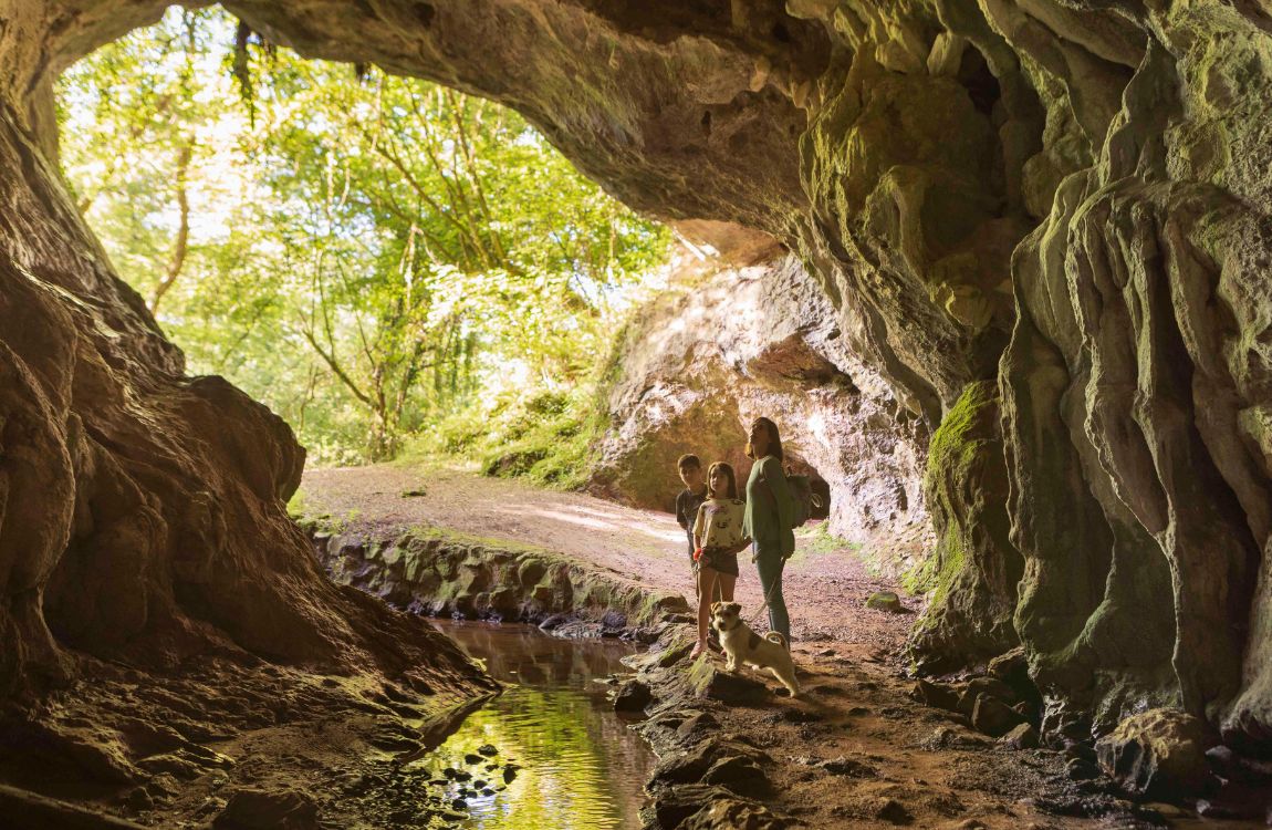 De Itinerarios por el Patrimonio: Sariego