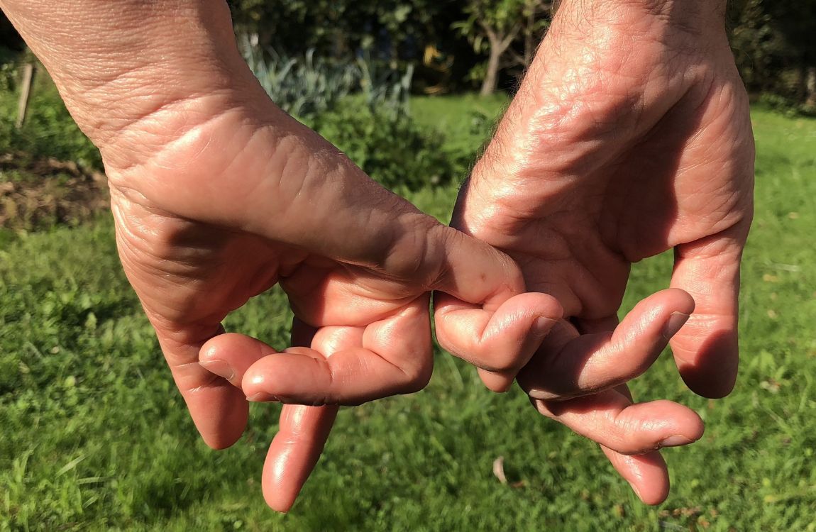 Sal a baillar de Aladanza Educación y Tradición