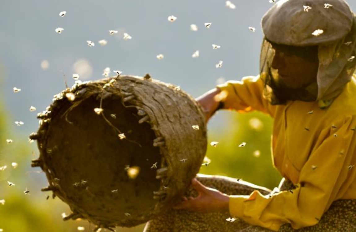 Honeyland de Tamara Kotevska,  Ljubomir Stefanov